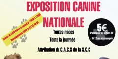 Exposition canine nationale