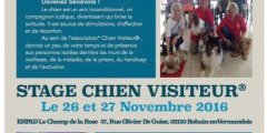 Stage chien visiteur